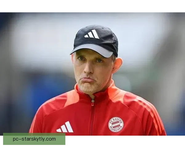 图赫尔赞帕尔默第二定位模糊